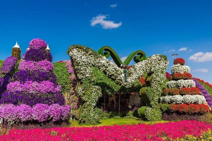 Enjoy a perfect family-friendly experience in a lush temperature-controlled paradise with thousands of butterflies