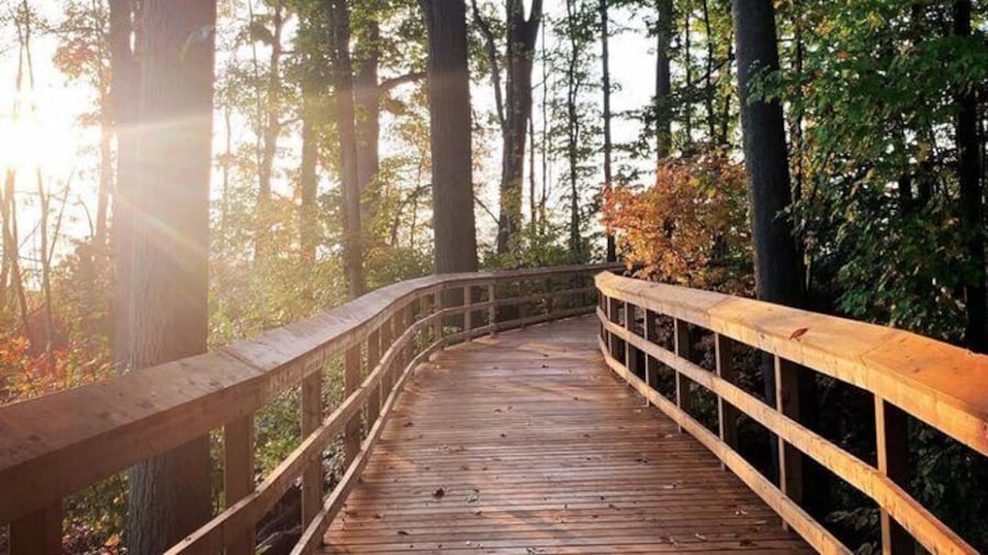 Rattray Marsh Nature Escape