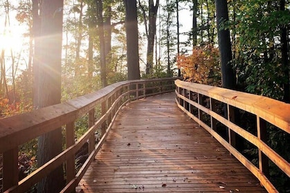 Rattray Marsh Nature Escape