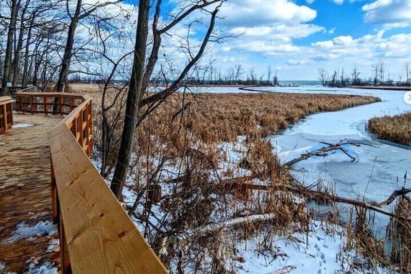 Rattray Marsh Nature Escape