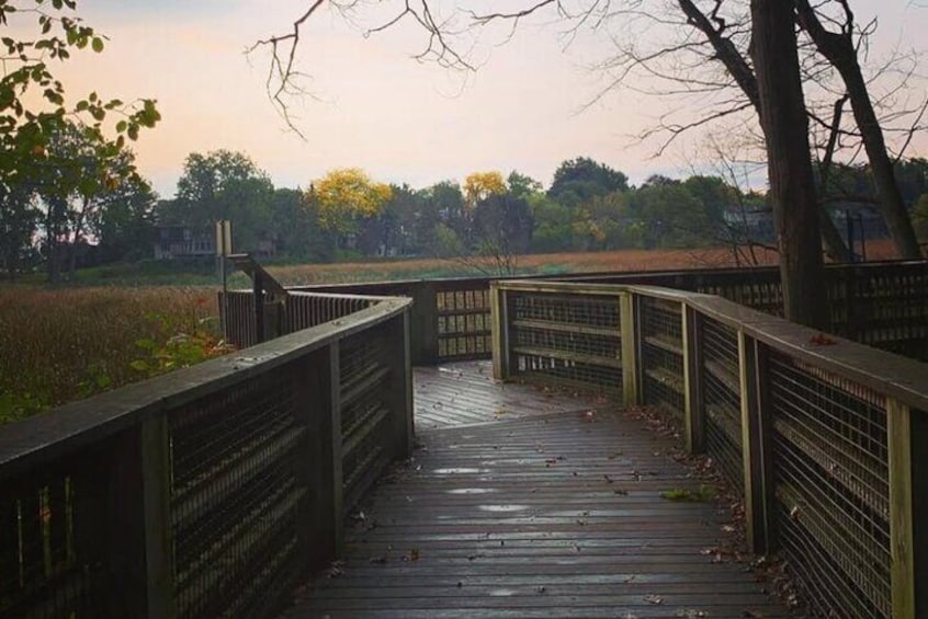 Rattray Marsh Nature Escape