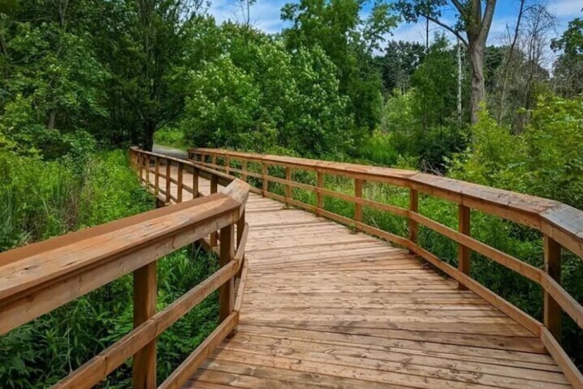 Rattray Marsh Nature Escape