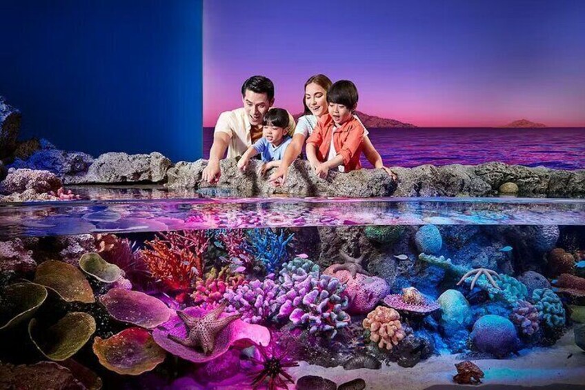 Sea Life Bangkok and Madame Tussauds Combo Ticket