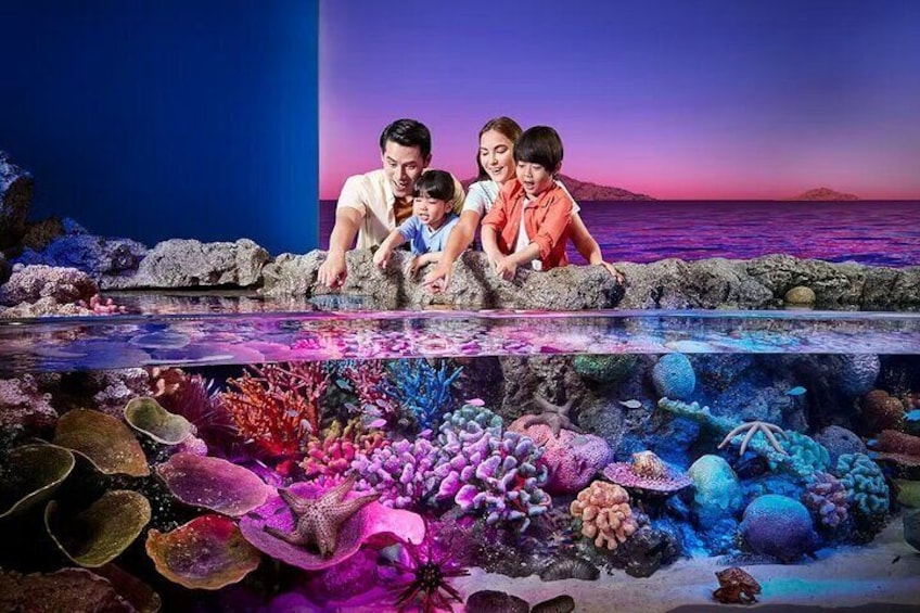 Sea Life Bangkok and Madame Tussauds Combo Ticket