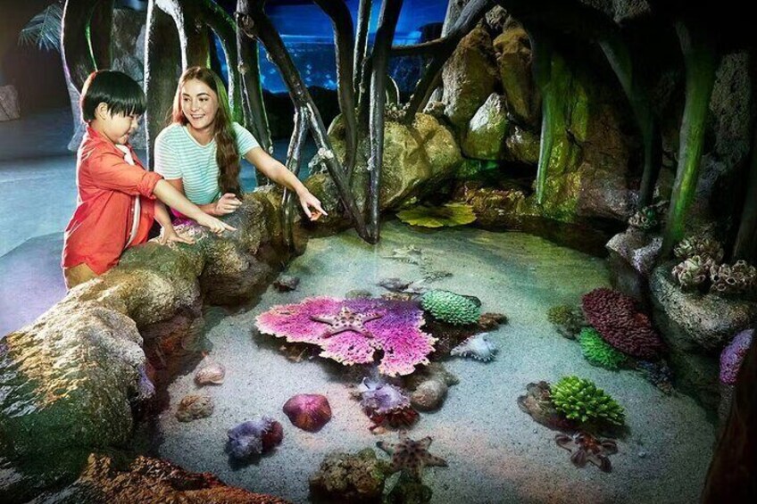 Sea Life Bangkok and Madame Tussauds Combo Ticket