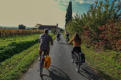 Private Half day E-Bike Tour and Lunch With A WineMaker