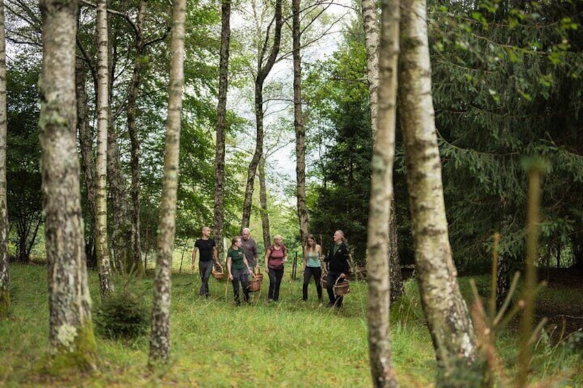 Foraging in the local forests