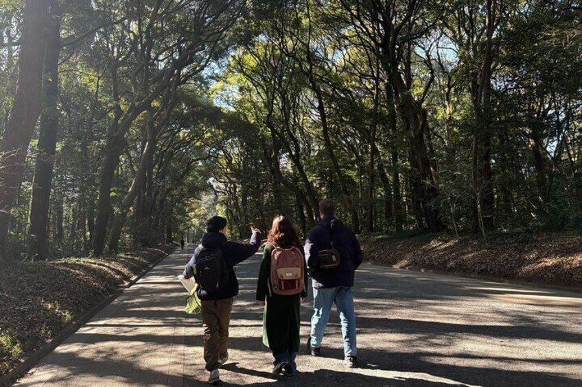 Meiji Shrine and Shibuya Highlight with Hidden Gem Tour