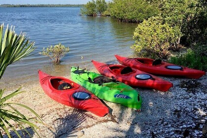 Indian River Lagoon Preserve Kayak Tour