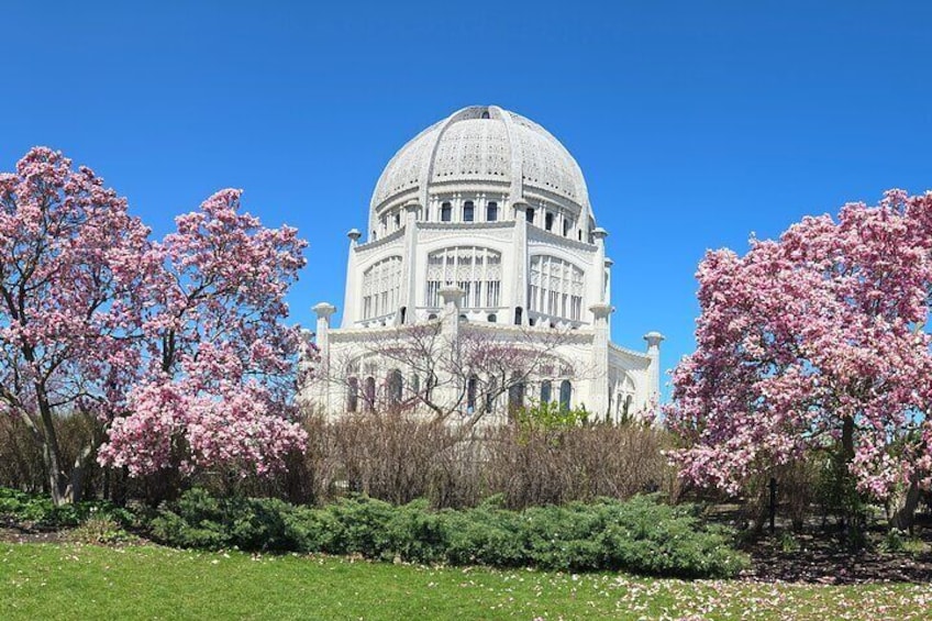 Chicago Hidden Gems! Suburbs Tour