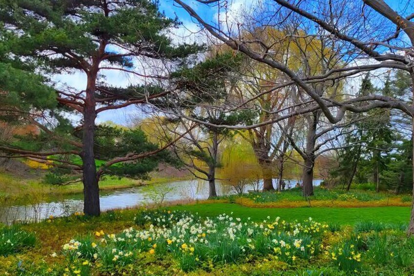 Chicago Suburbs Tour