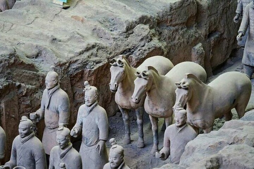 Private Day Tour of Chinese Kungfu and Terra-cotta Warriors