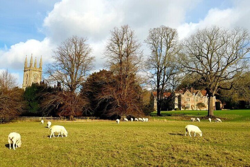 The park of Chawton House