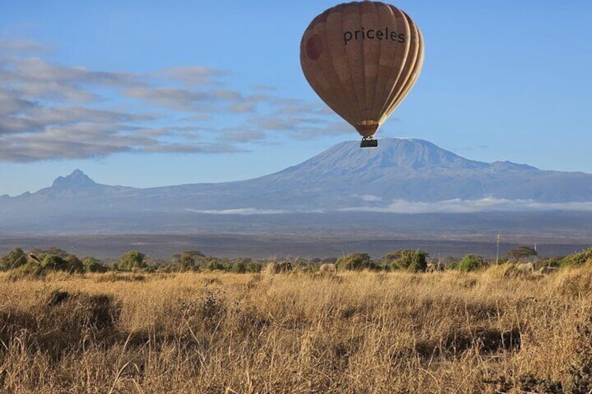 Amboseli National Park Day Trip