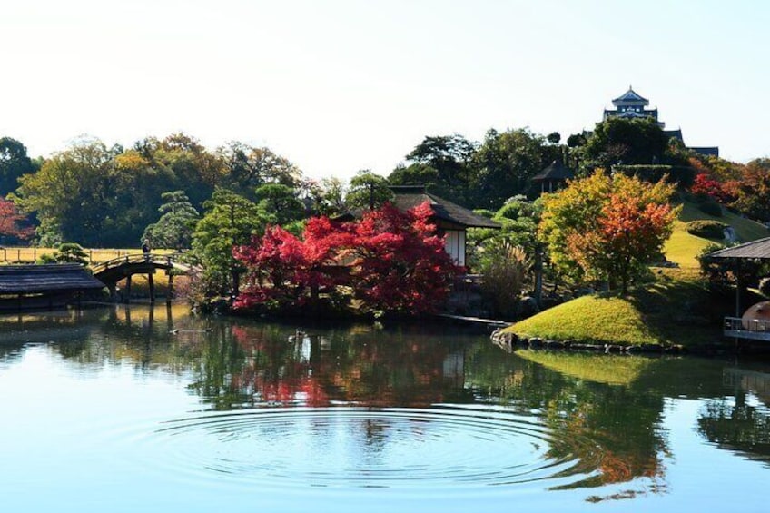 Okayama Korakuen Garden - Autumn ©Okayama Korakuen 