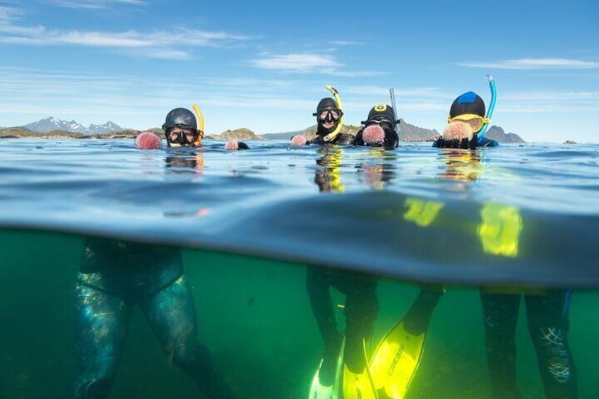 Lofoten Grand Canyon Snorkeling Tour