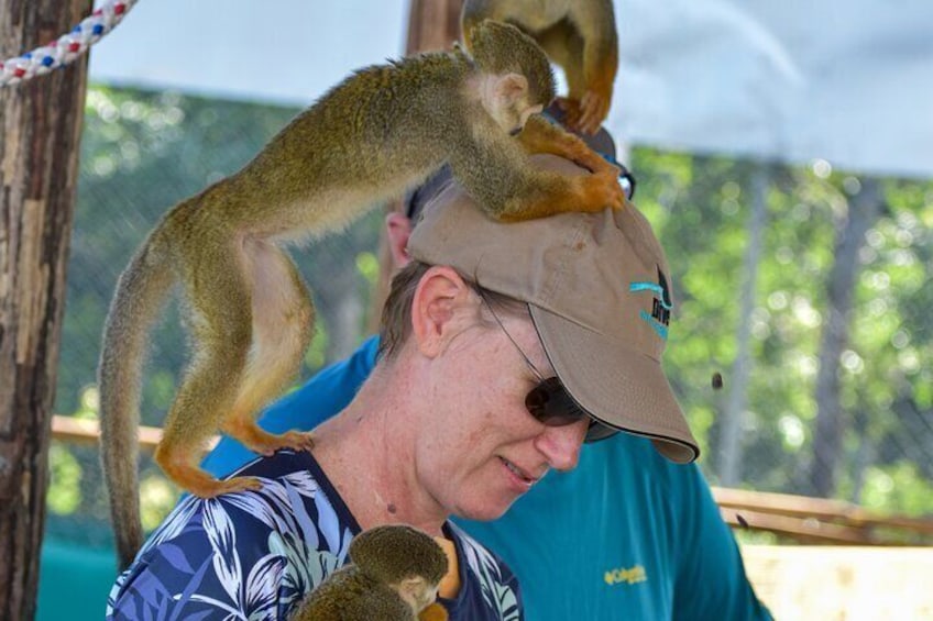 Monkey Mania Puerto Plata