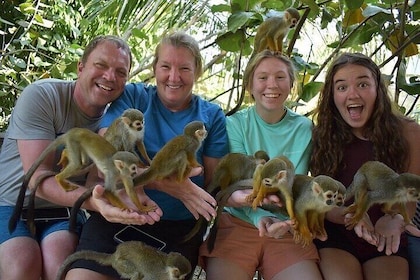 Monkey Mania Puerto Plata