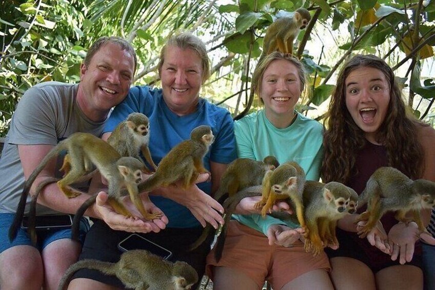 Monkey Mania Puerto Plata