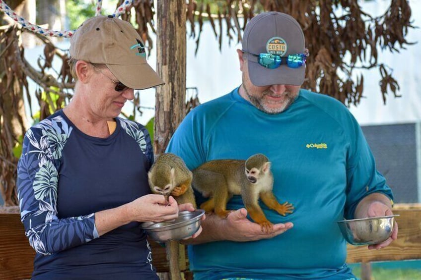 Monkey Mania Puerto Plata