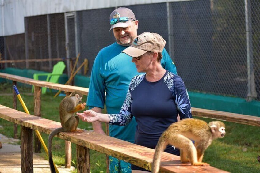Monkey Mania Puerto Plata