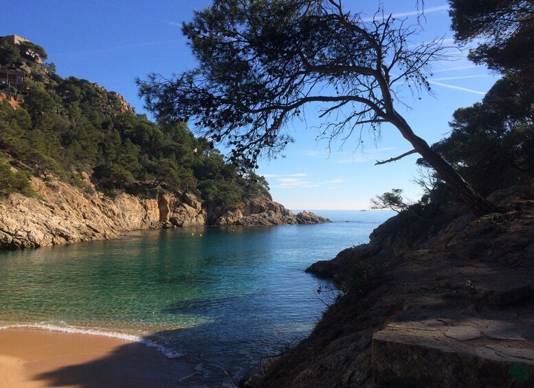 Picture 4 for Activity From Barcelona: Costa Brava Hike, Snorkel & Tossa de Mar