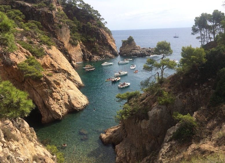 Picture 1 for Activity From Barcelona: Costa Brava Hike, Snorkel & Tossa de Mar