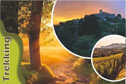Excursion to Capalbio at Sunset 2 hours with Environmental Guide
