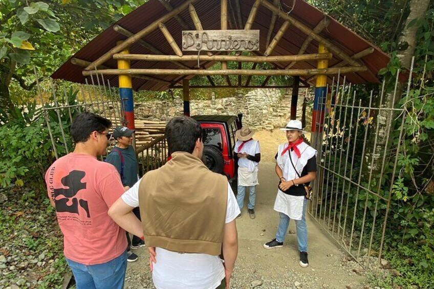 An authentic coffee farm