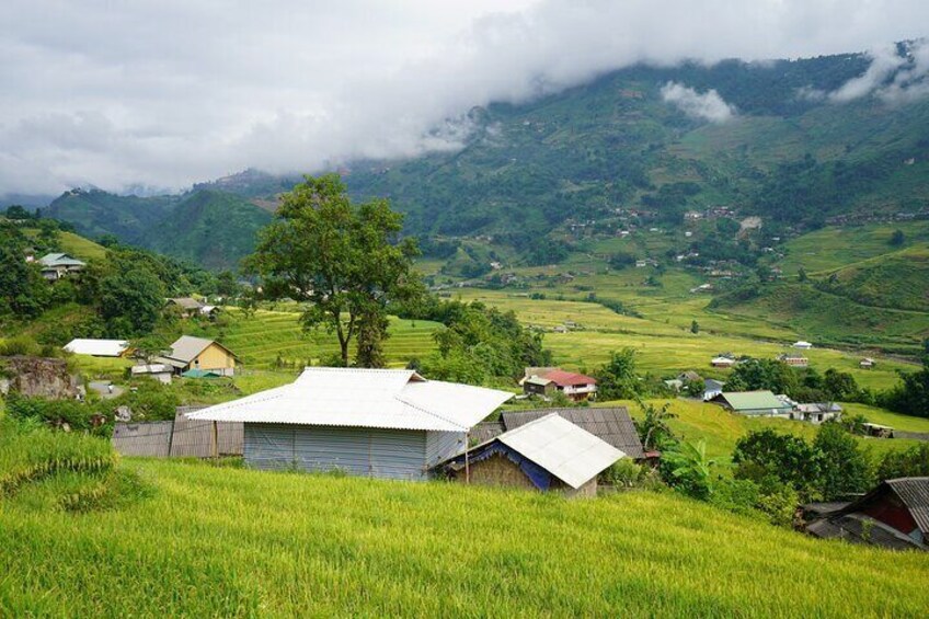 Sapa Day Trip Visit Y Linh Ho Lao Chai Ta Van Cat Cat Village