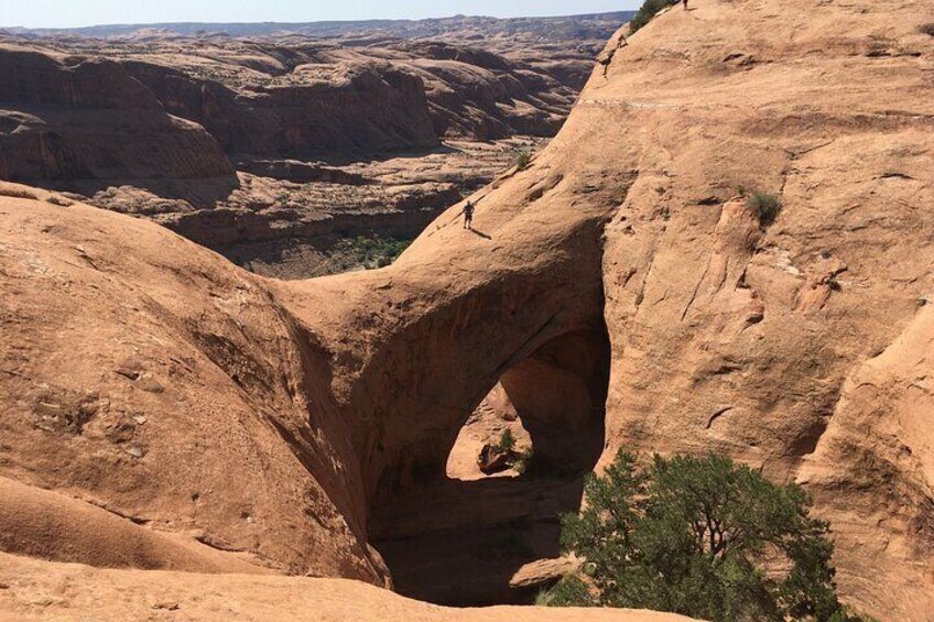 4WD Tour to Poison Dinosaur Tracks in Moab