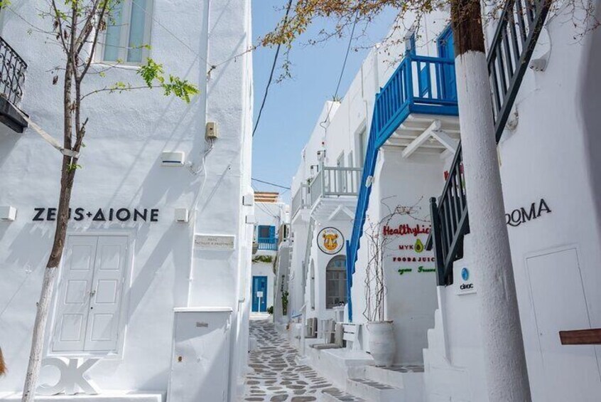 Tour in Mykonos with a Local