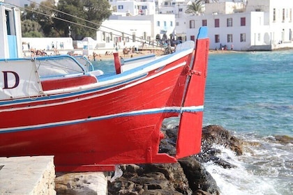 Mykonos Private Tour Designed Around You