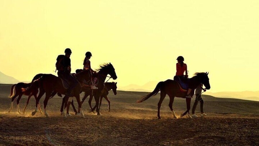 2 hours horse riding on the desert & the sea in Hurghada