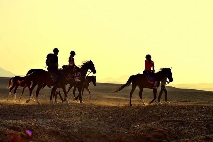 2 hours horse riding on the desert & the sea in Hurghada 