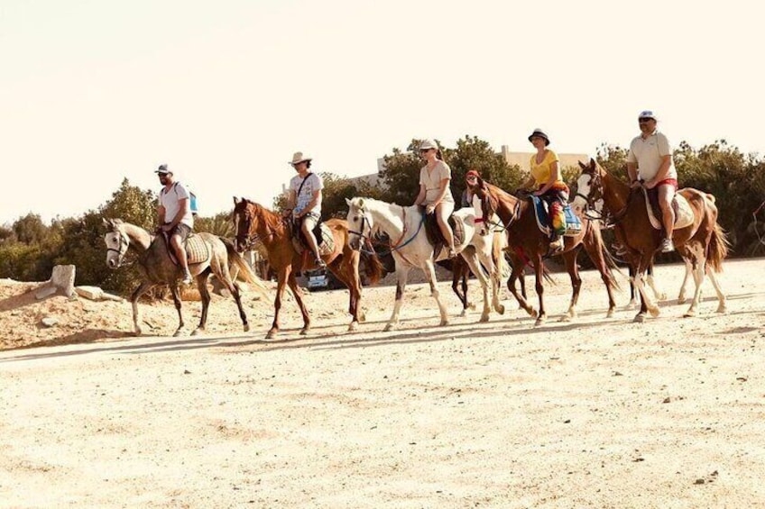  Horseback Ride in Hurghada Desert
