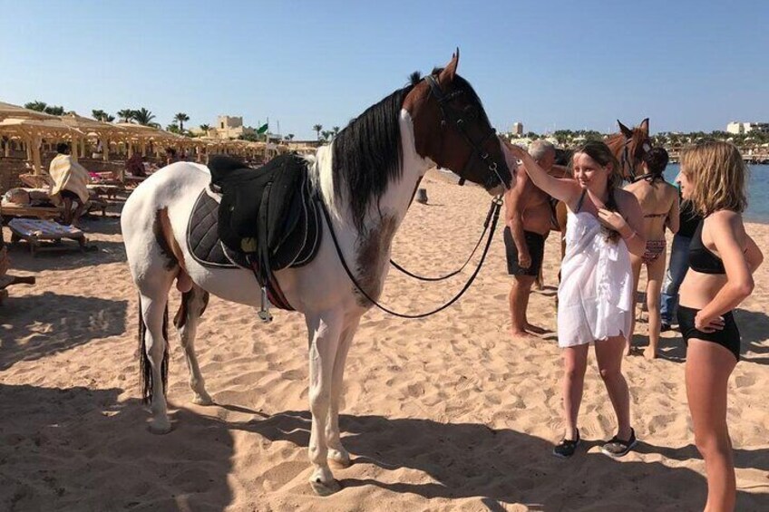  Horseback Ride in Hurghada Desert
