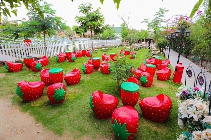 A special tour of the strawberry farm in Taif, where you can enjoy tasting fresh strawberries.