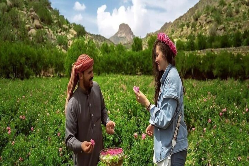 Trip to Taif: Enjoy the atmosphere of roses and picturesque mountainous areas.