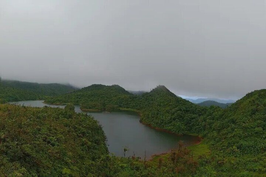 Wild and Medicinal Dominica Private Tour