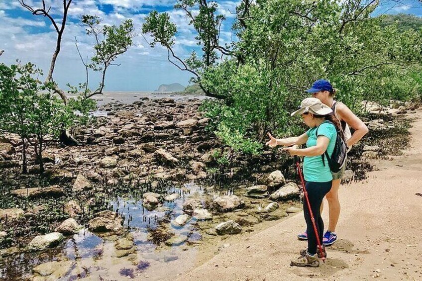 Private walk through Mangue de Pedras and Ponta do Pai Vitório