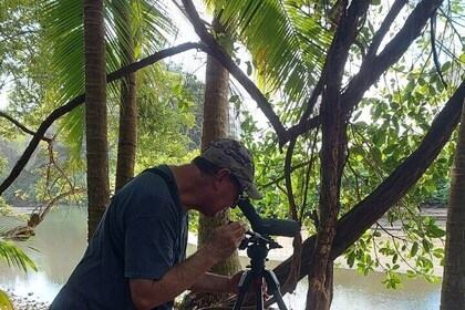 Observación de aves en el Parque Nacional Marino, playa de Uvita