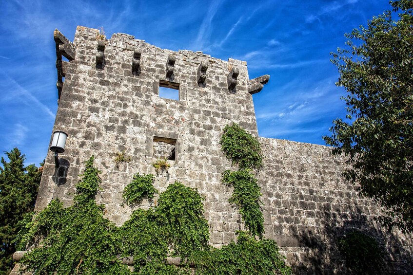 Picture 6 for Activity From Milna, Supetar, Split: Guided Brač Island Tour