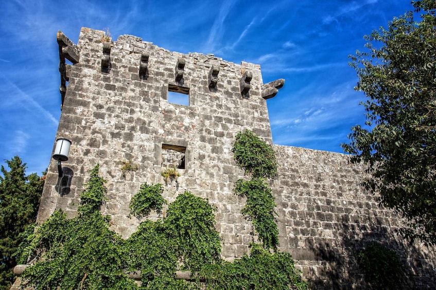 Picture 6 for Activity From Milna, Supetar, Split: Guided Brač Island Tour