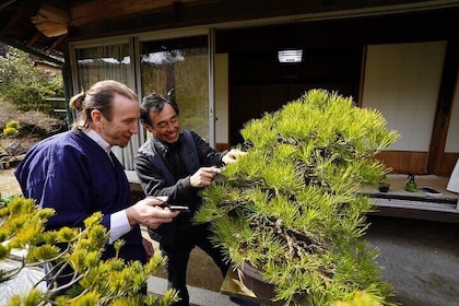 Tour de BONSAI -Bonsai Garden Tour and Activity Experience-