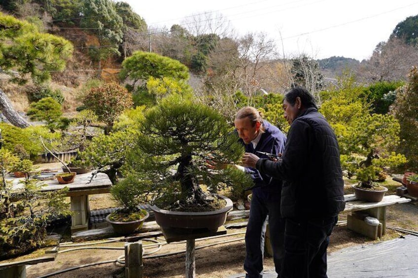 Tour de BONSAI -Bonsai Garden Tour and Activity Experience-