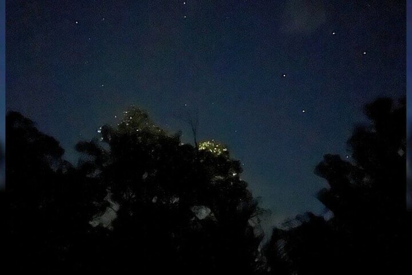 Private Bohol Abatan River Firefly Watching Tour