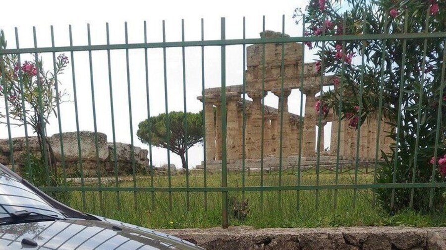 From Positano Paestum Temples Mozzarella Farm, Wine tasting lunch