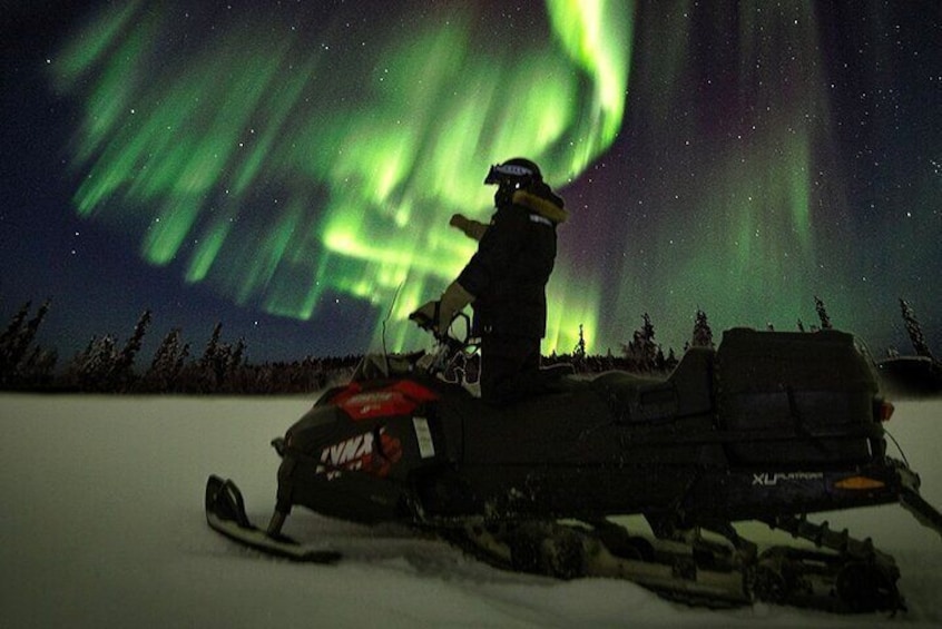 Aurora Borealis Dogsled Tour