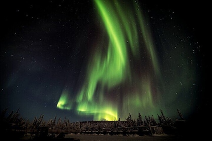 Aurora Borealis Dogsled Tour